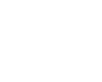 Saudi Aramco